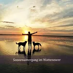 Apartmán De Wittling Nordseeglueck Direkt Am Deich &hund Willkommen Dorumer Neufeld