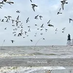 De Wittling Nordseeglueck Direkt Am Deich &hund Willkommen