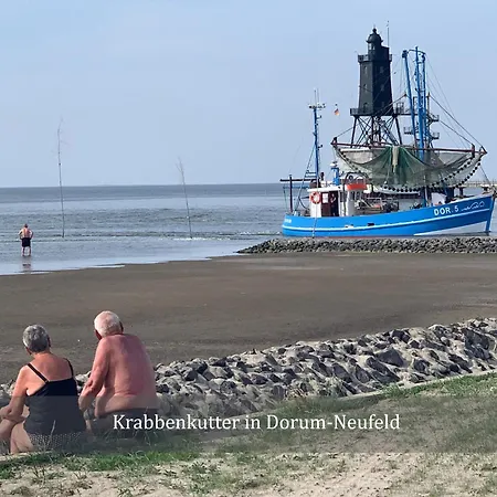 De Wittling Nordseeglueck Direkt Am Deich &hund Willkommen *