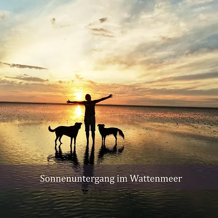 Appartement De Wittling Nordseeglueck Direkt Am Deich &hund Willkommen Dorumer Neufeld
