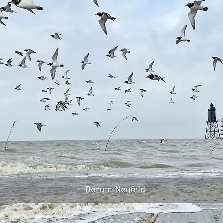 De Wittling Nordseeglueck Direkt Am Deich &hund Willkommen