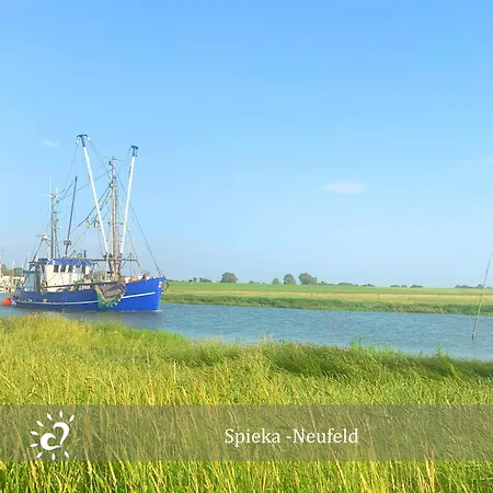De Wittling Nordseeglueck Direkt Am Deich &hund Willkommen Appartement