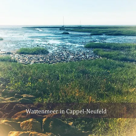 De Wittling Nordseeglueck Direkt Am Deich &hund Willkommen Appartement *