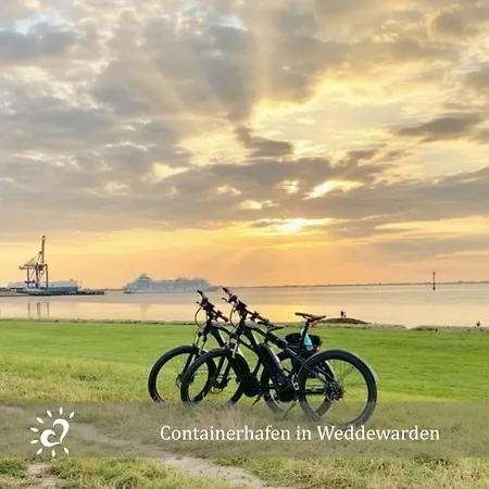 Appartement De Wittling Nordseeglueck Direkt Am Deich &hund Willkommen