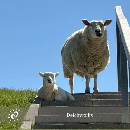 De Wittling Nordseeglueck Direkt Am Deich &hund Willkommen Appartement